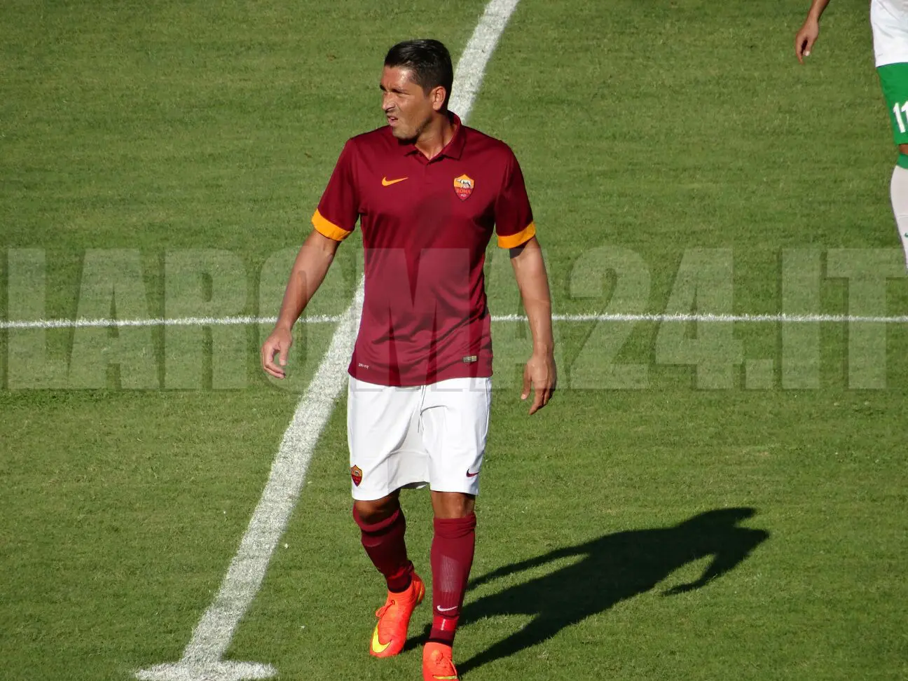 borriello
