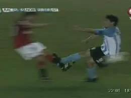 camoranesi heinze contrasto
