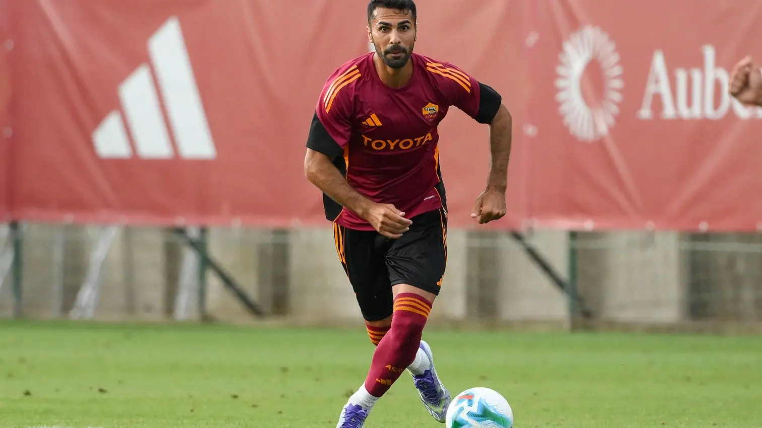 celik roma unipomezia