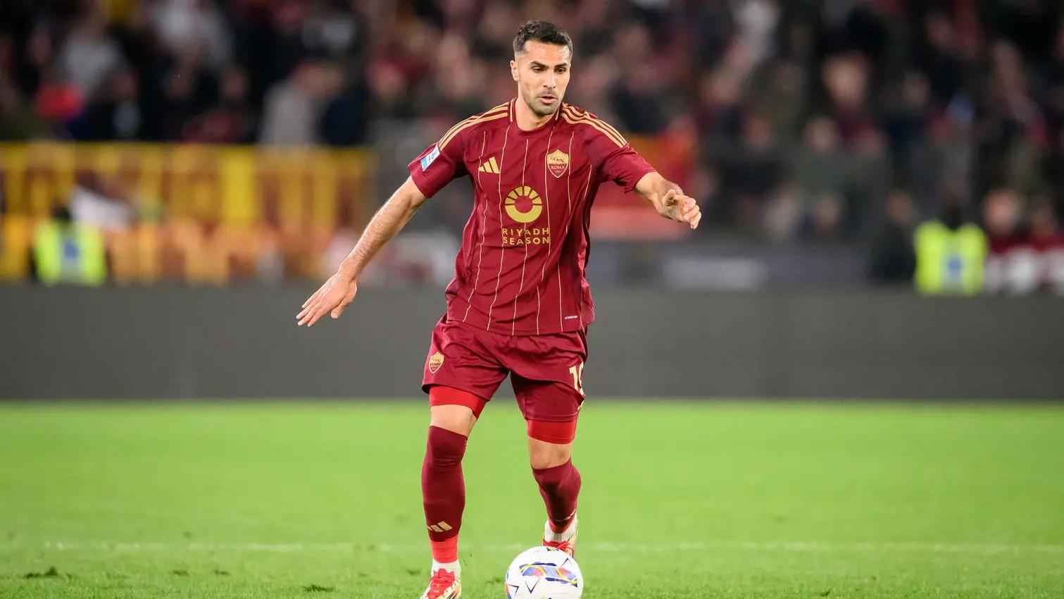 celik roma verona