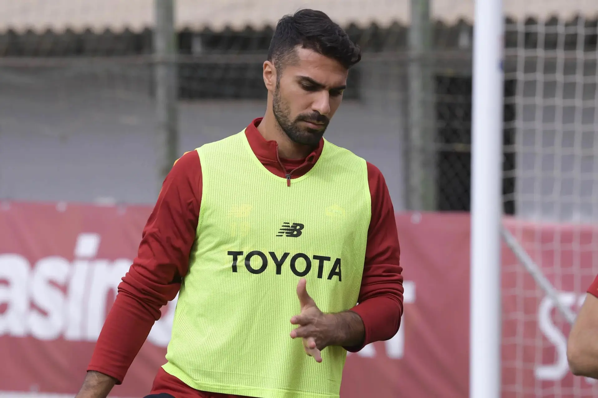 celik trigoria