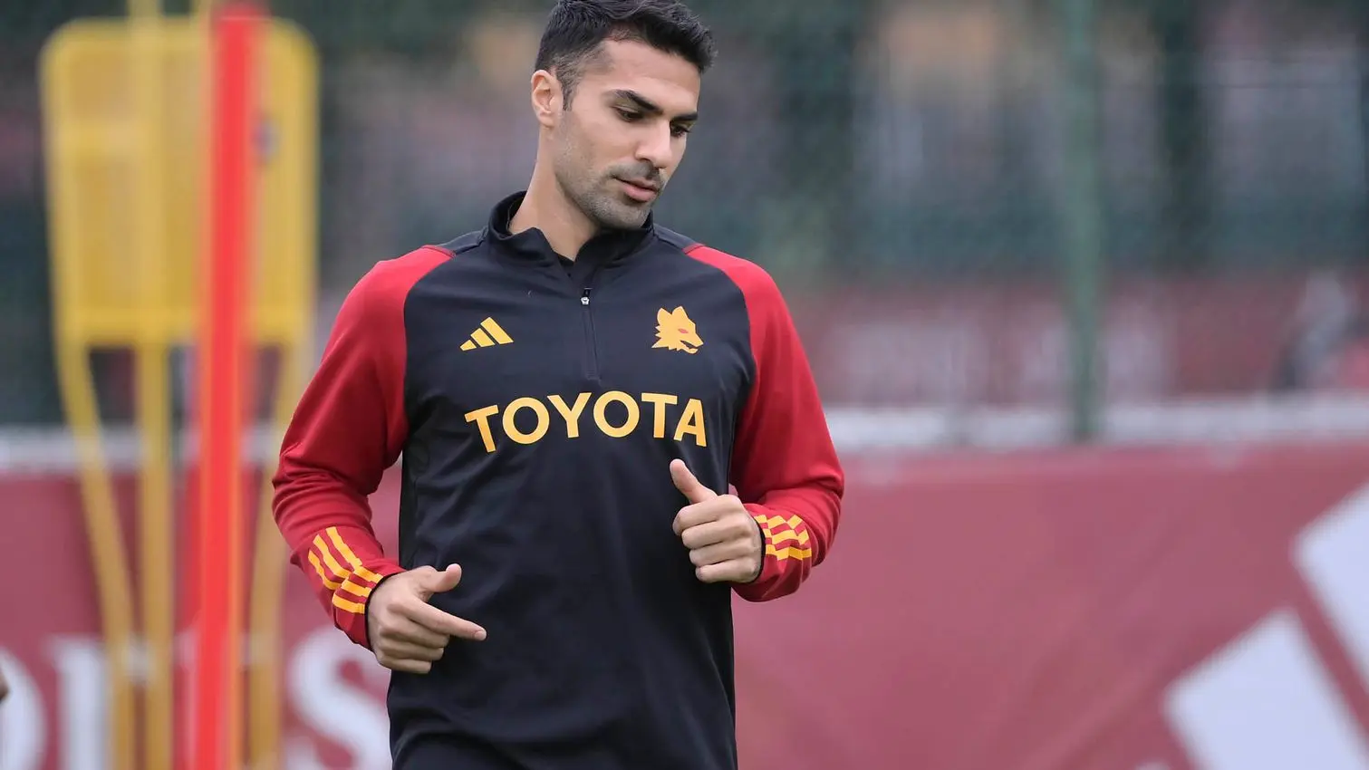 celik trigoria