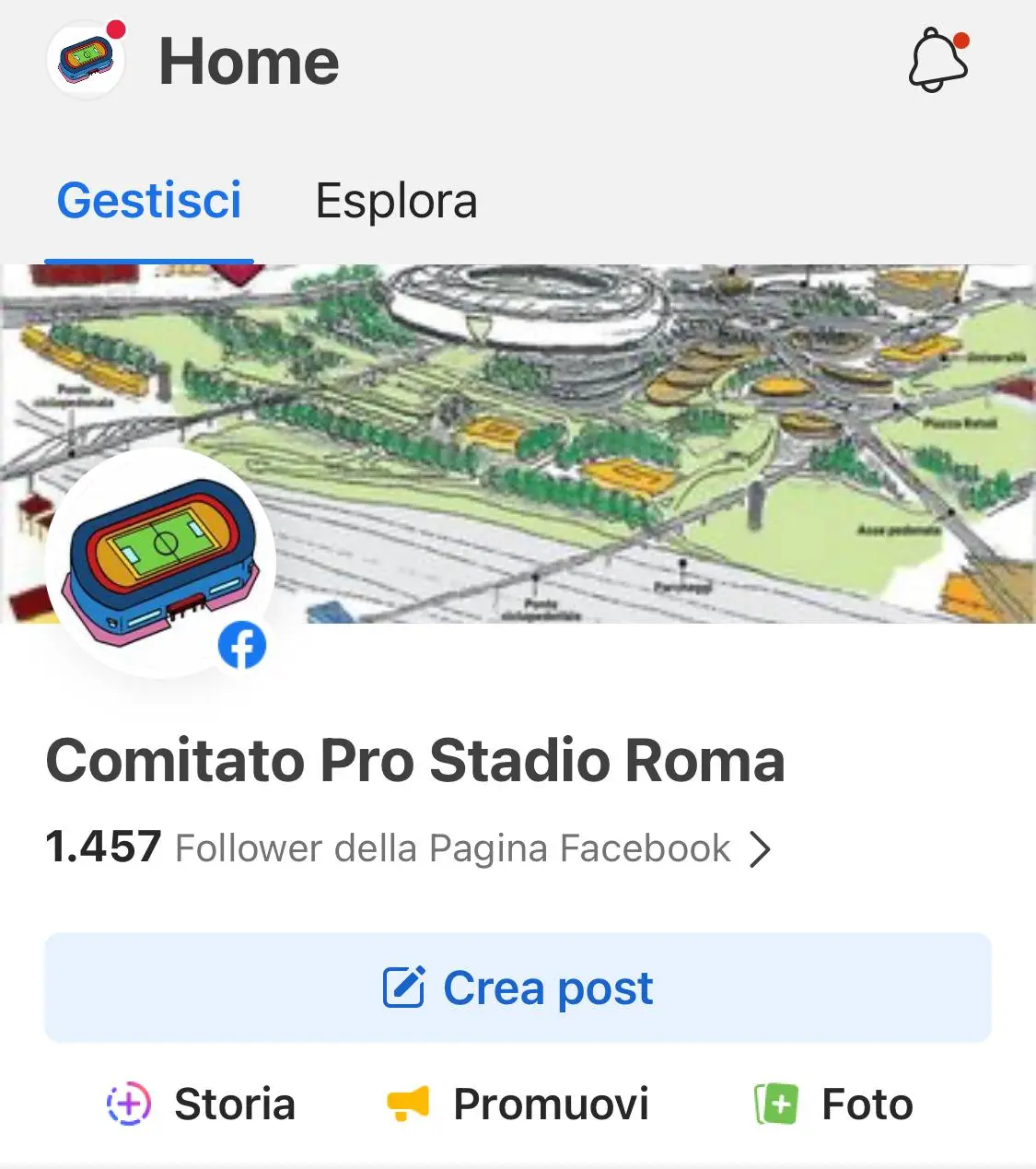 comitato stadio roma foto