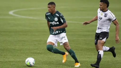 danilo palmeiras 1606821961 52353
