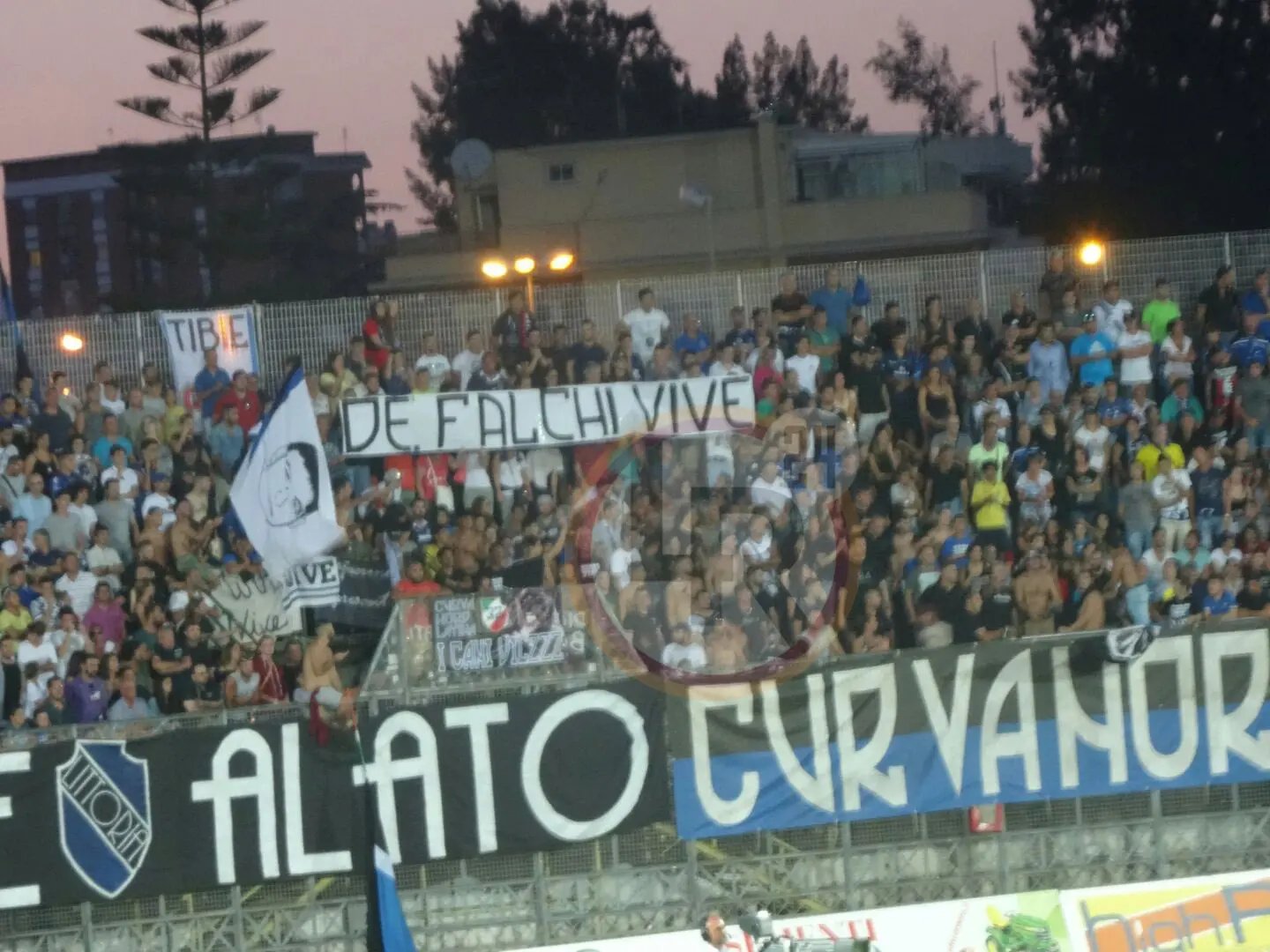 de falchi vive 2 striscione latina