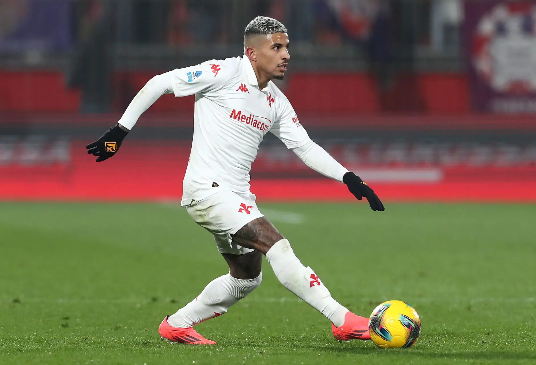 dodo fiorentina