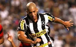 doria botafogo