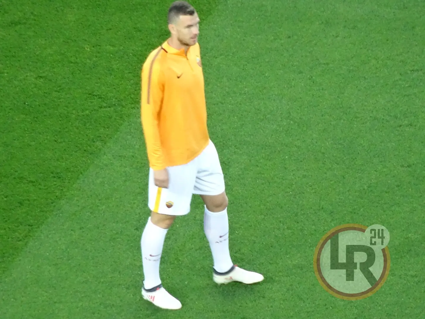 dzeko risc