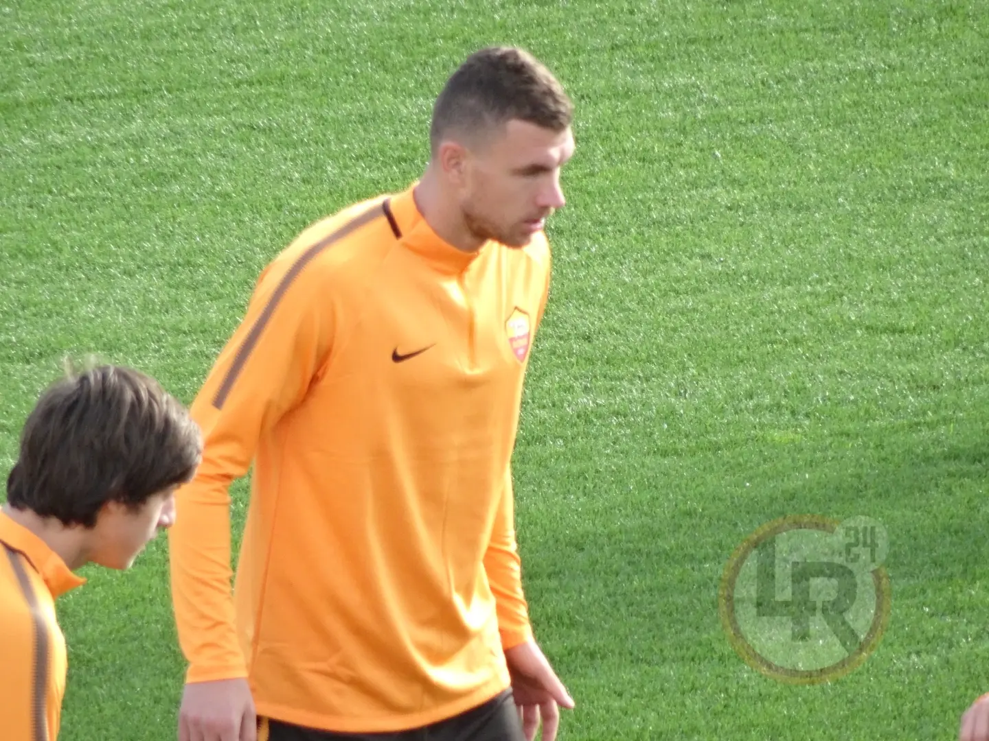 dzeko trigoria
