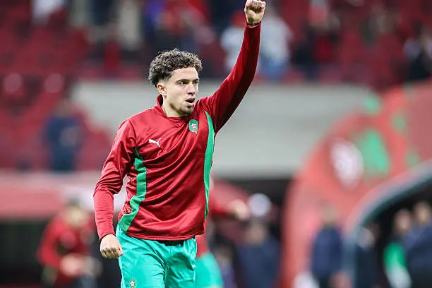 el aynaoui marocco 2