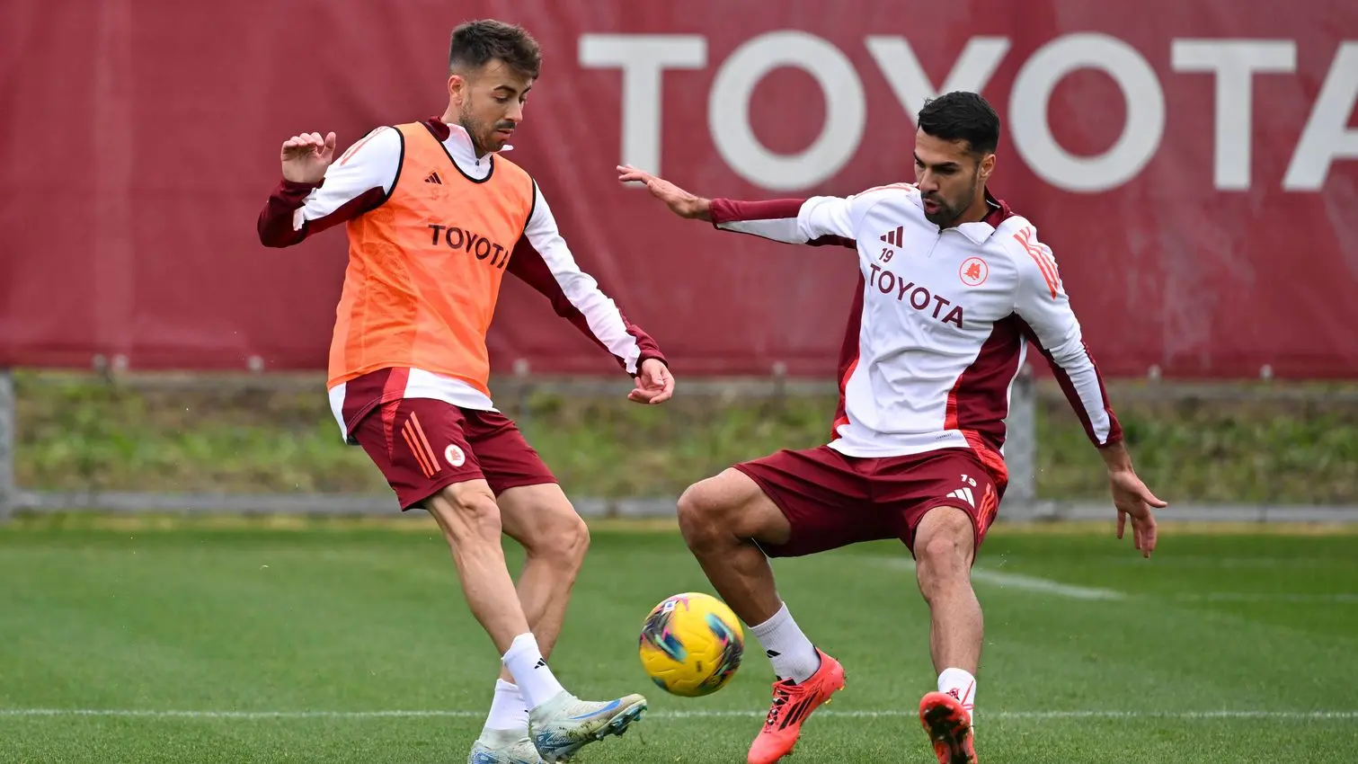 el shaarawy celik