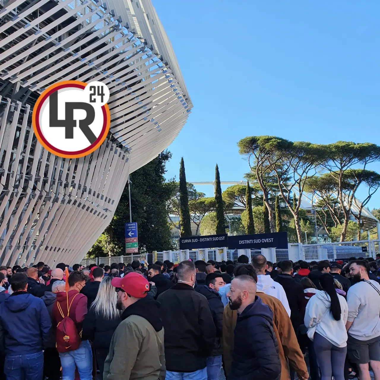 file roma salernitana