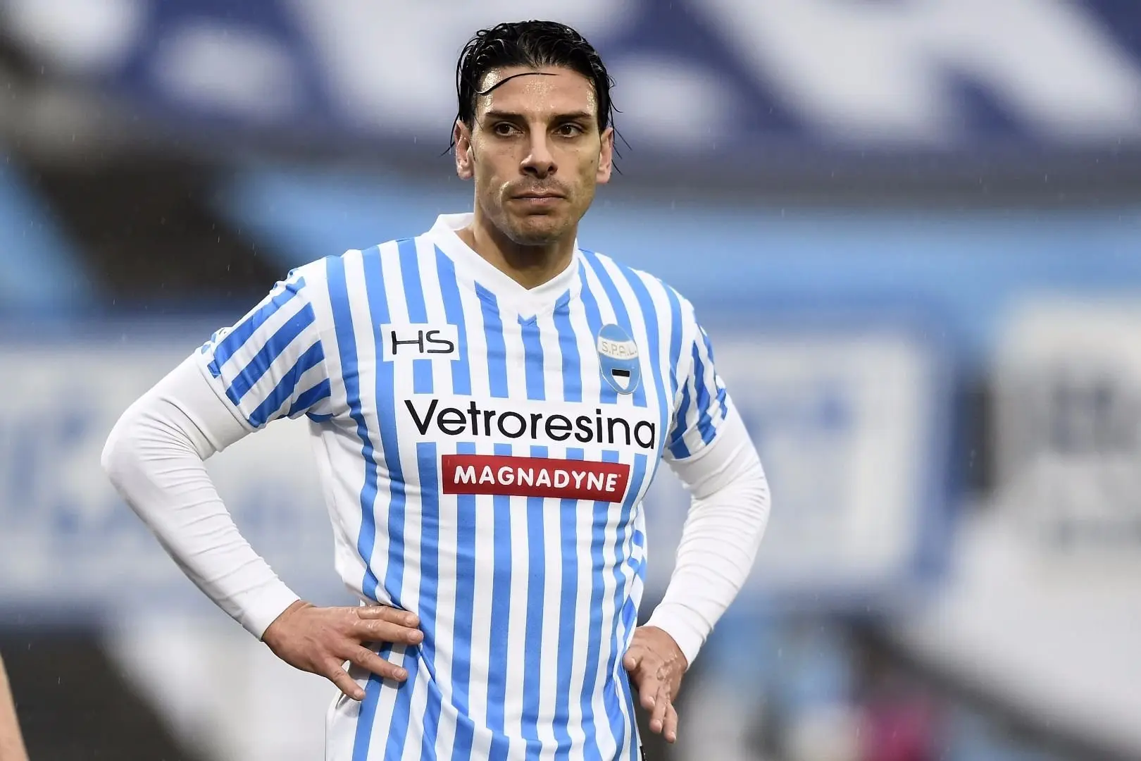 floccari spal