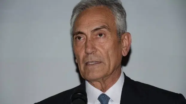 gabriele gravina