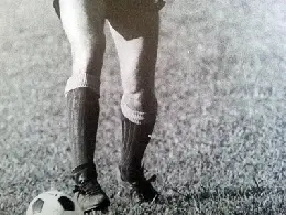 gambe