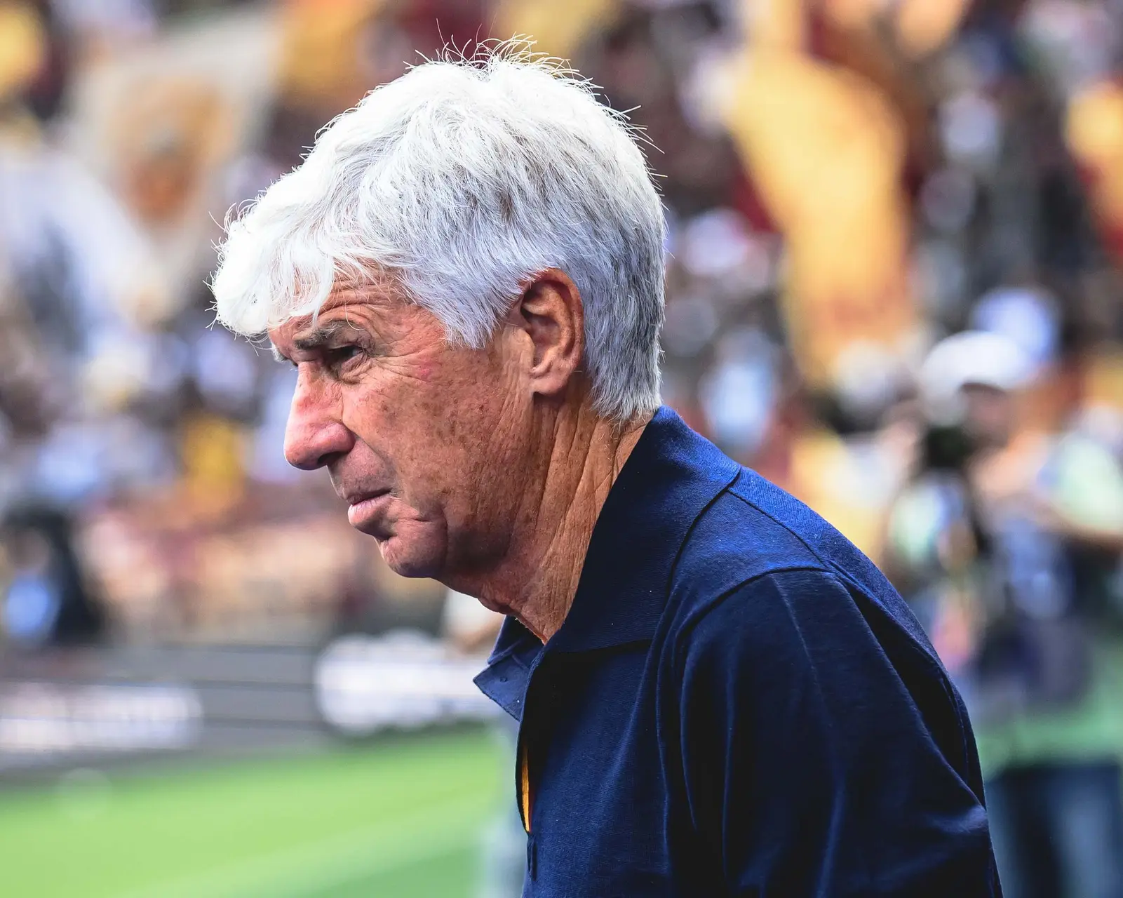 gasperini