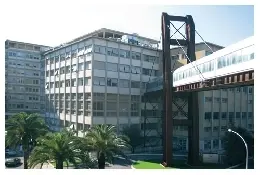 gemelli20da20fuori