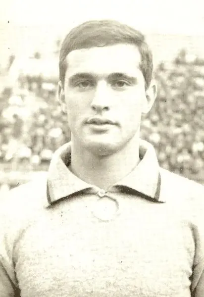 ginulfi2
