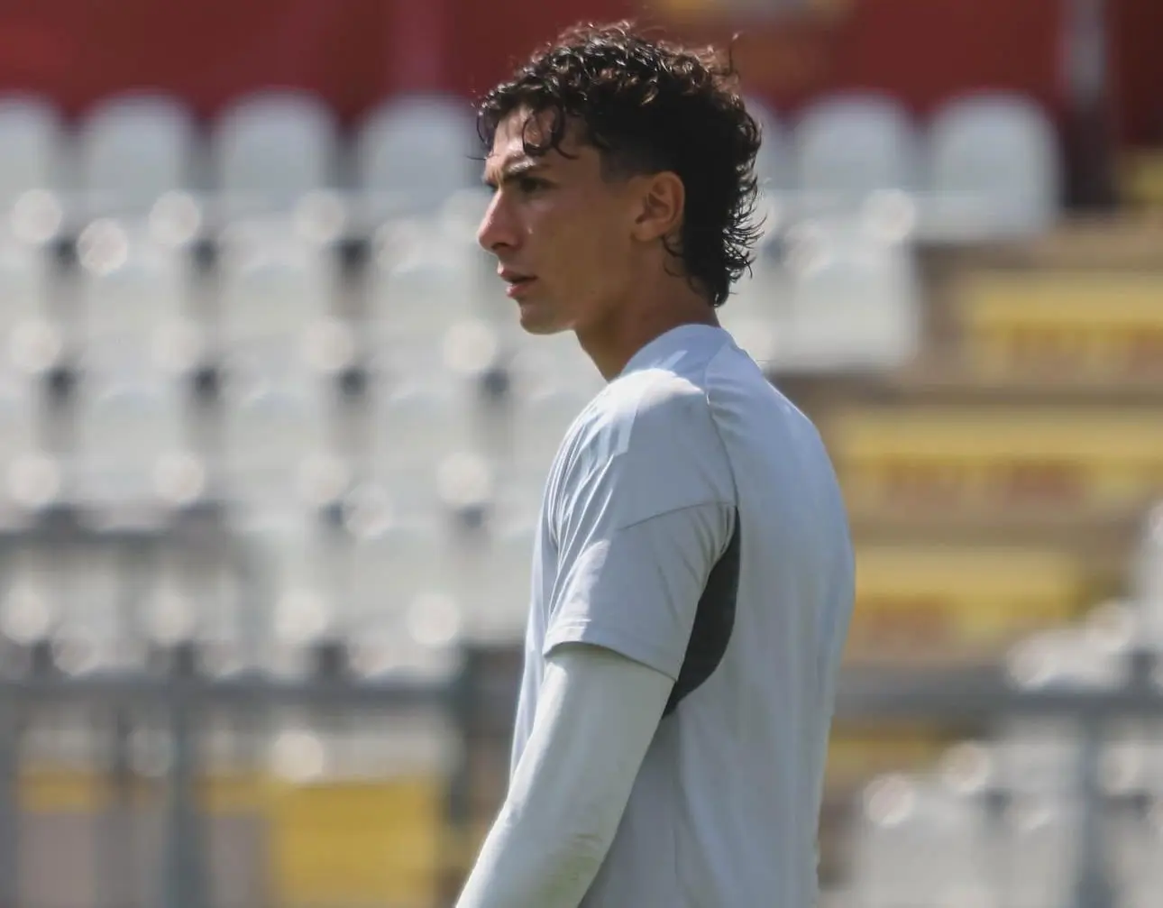 giorgio stomeo