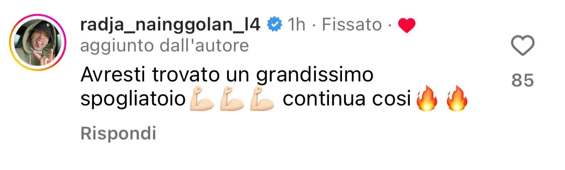 instagram nainggolan risposta bove