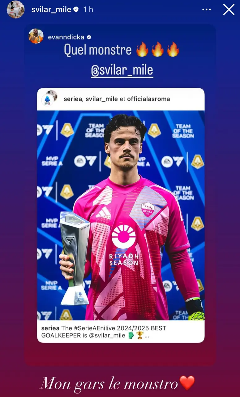 instagram ndicka svilar