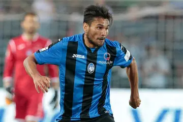 jos palomino