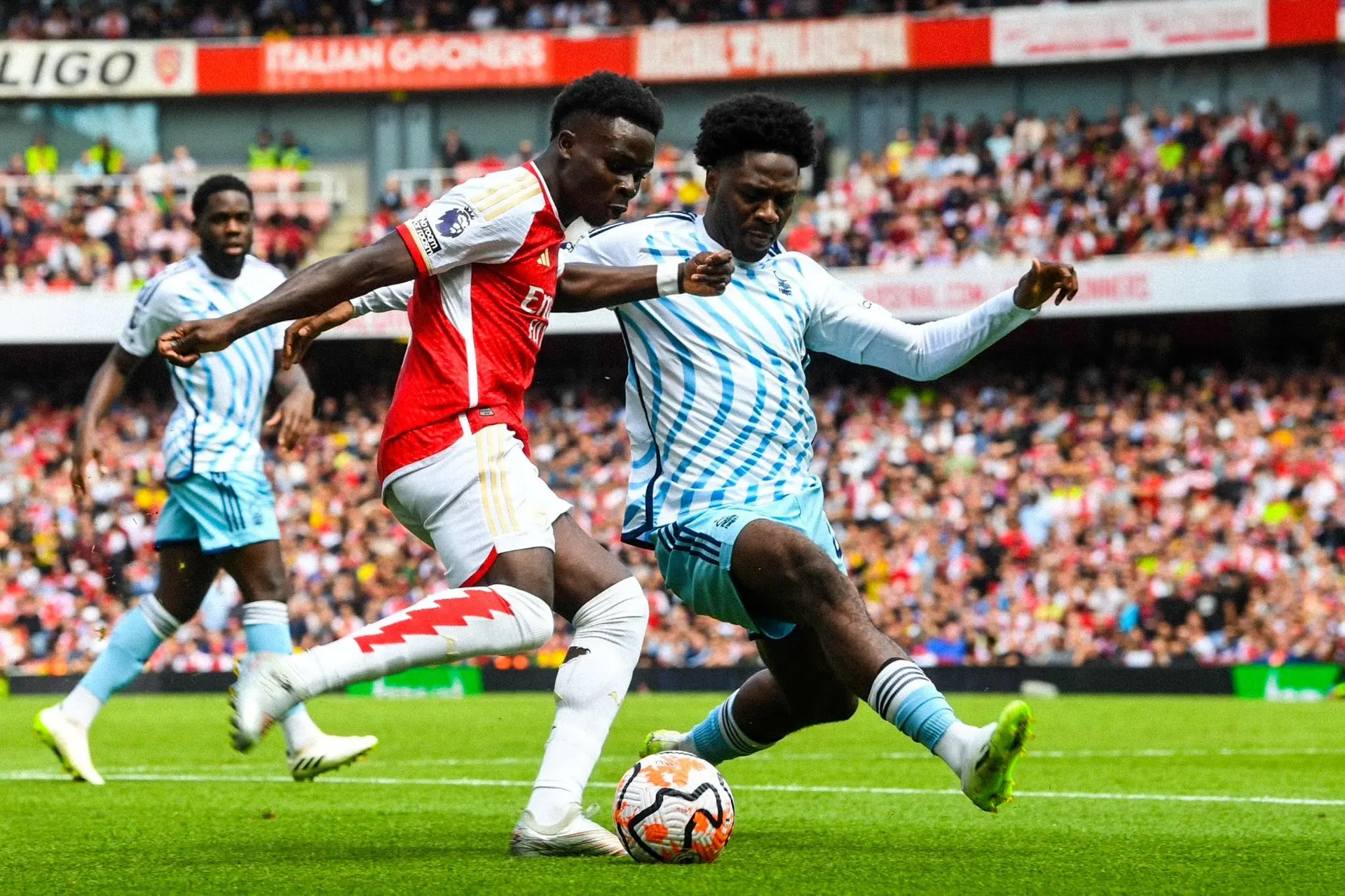 ola aina