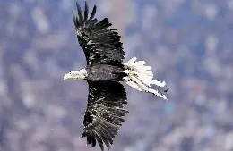 olimpia20aquila