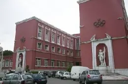 palazzo20h