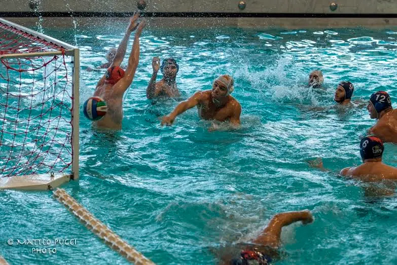pallanuoto