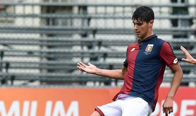 pellegri