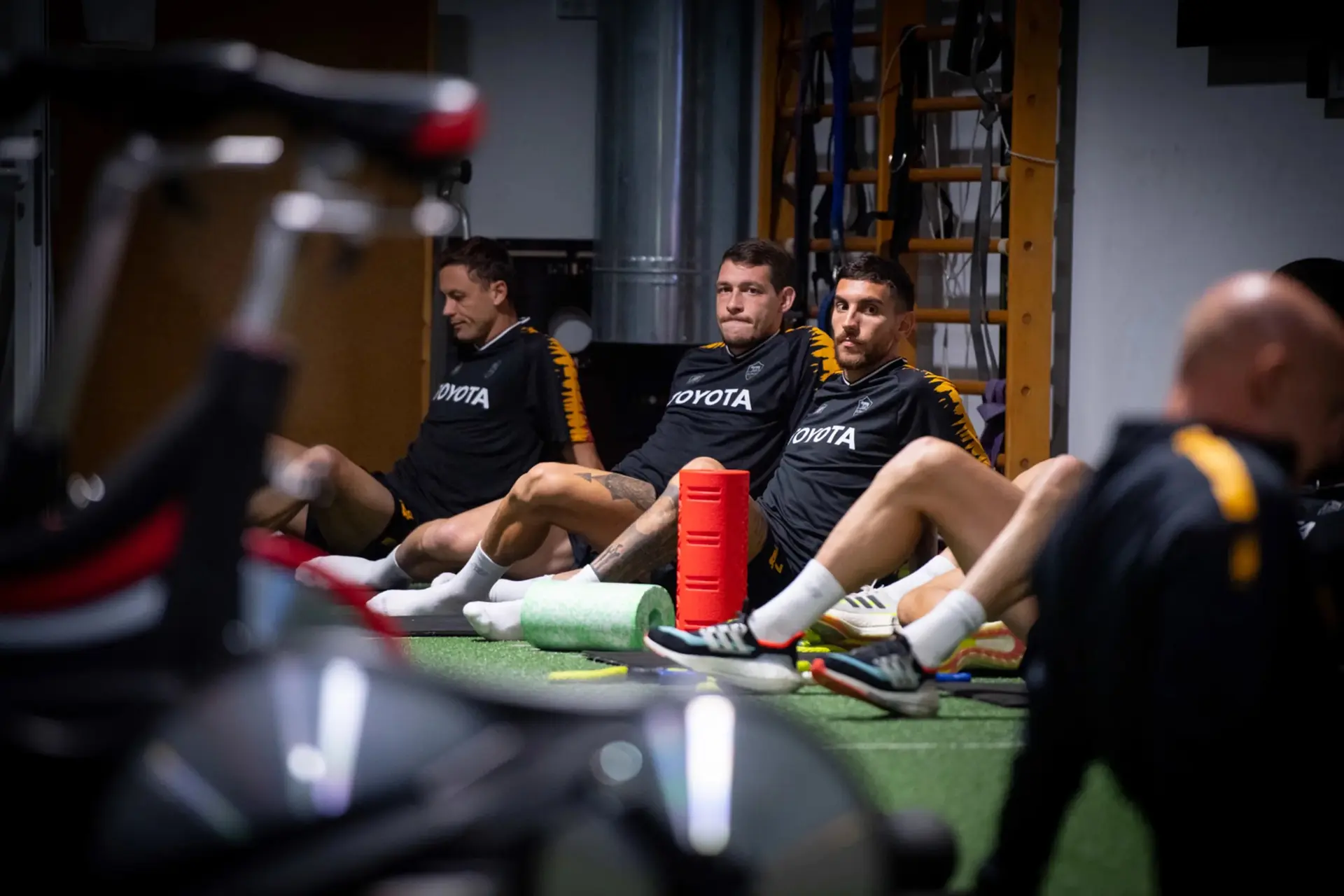 pellegrini belotti palestra