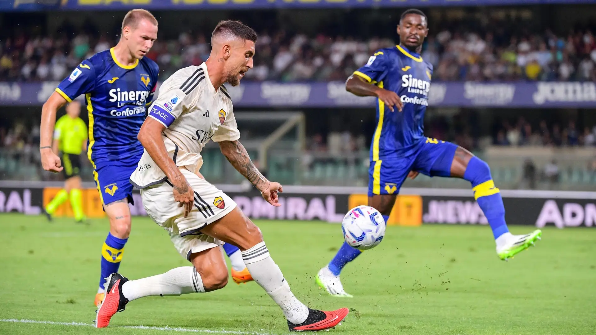 pellegrini verona roma