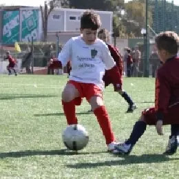 pulcini in azione 2