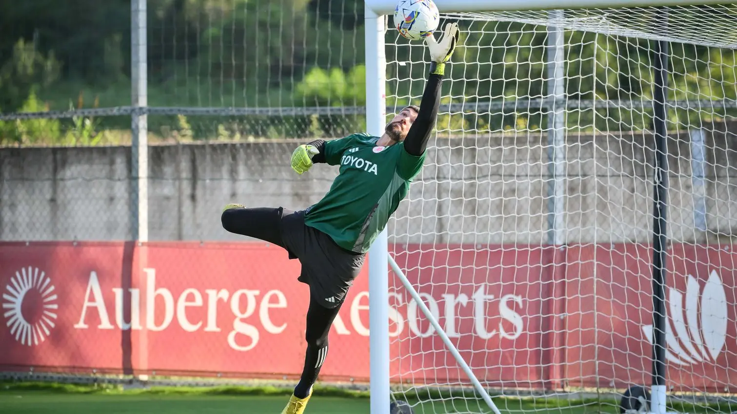 ryan trigoria