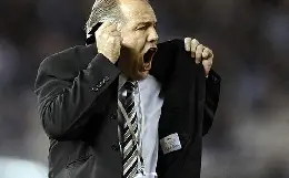 sabella