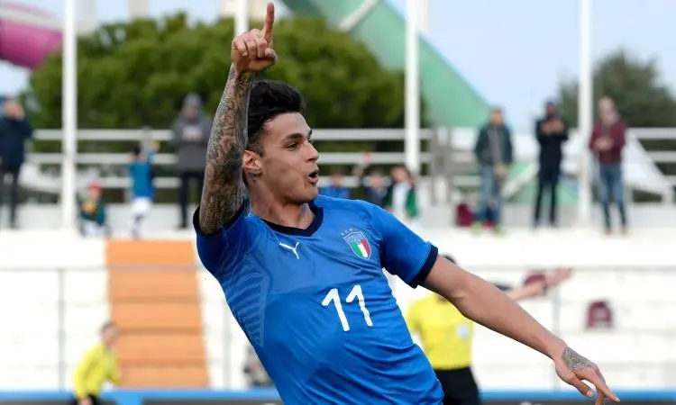 scamacca nazionale