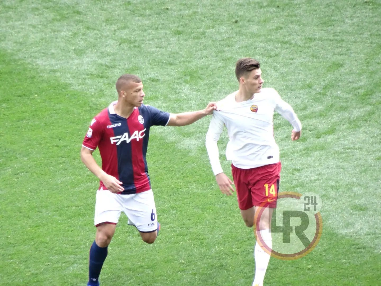 schick bologna roma