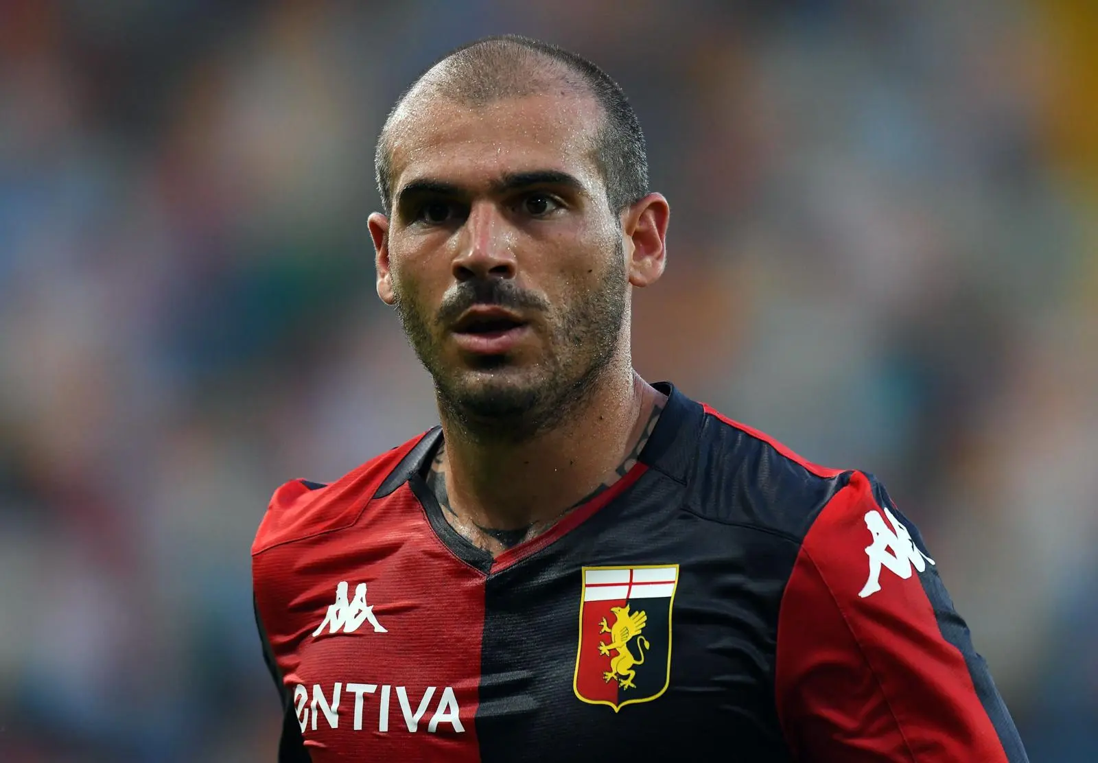 stefano sturaro