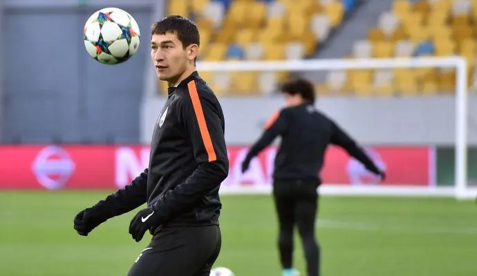 stepanenko