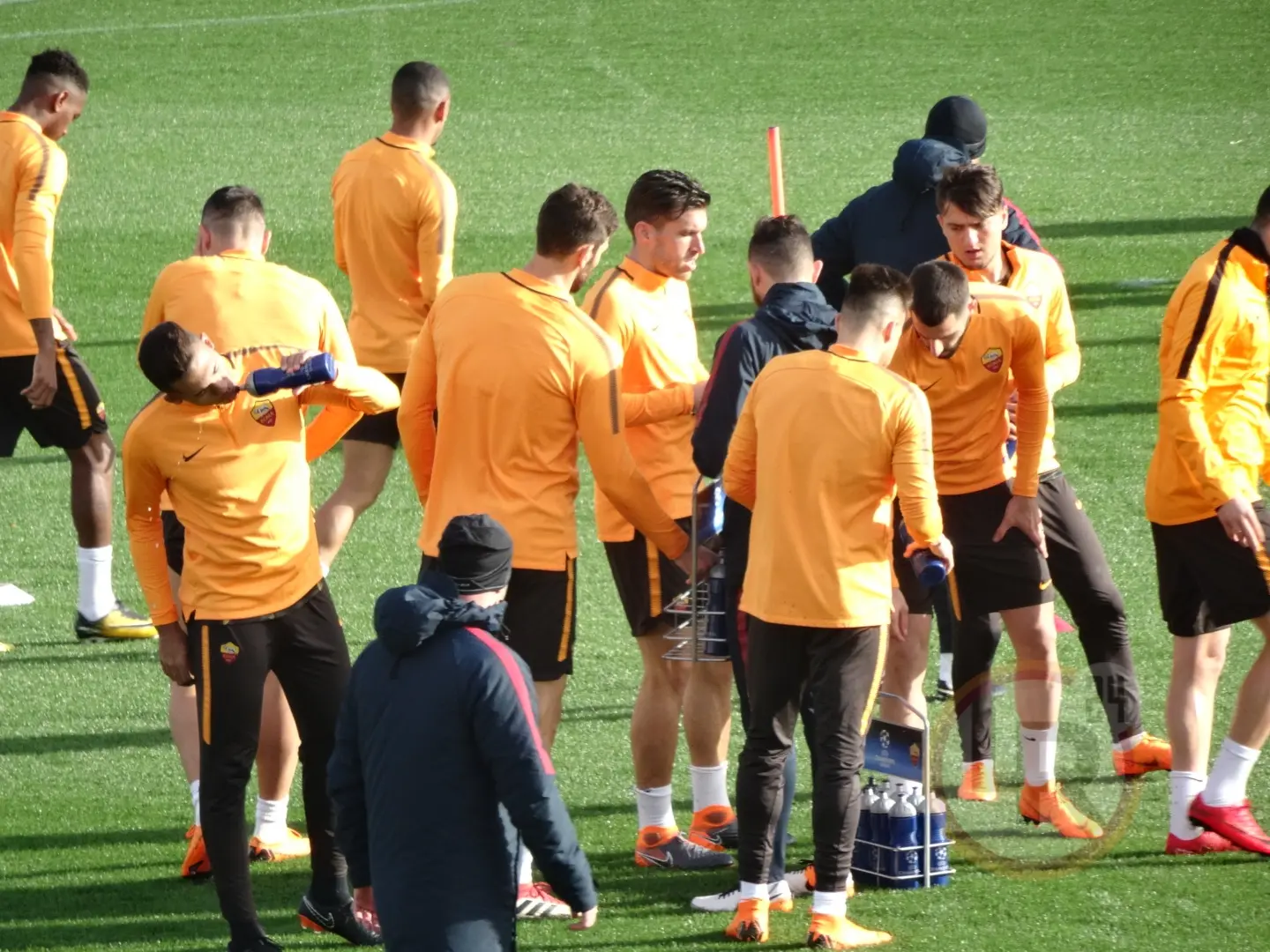 strootman gruppo trigoria