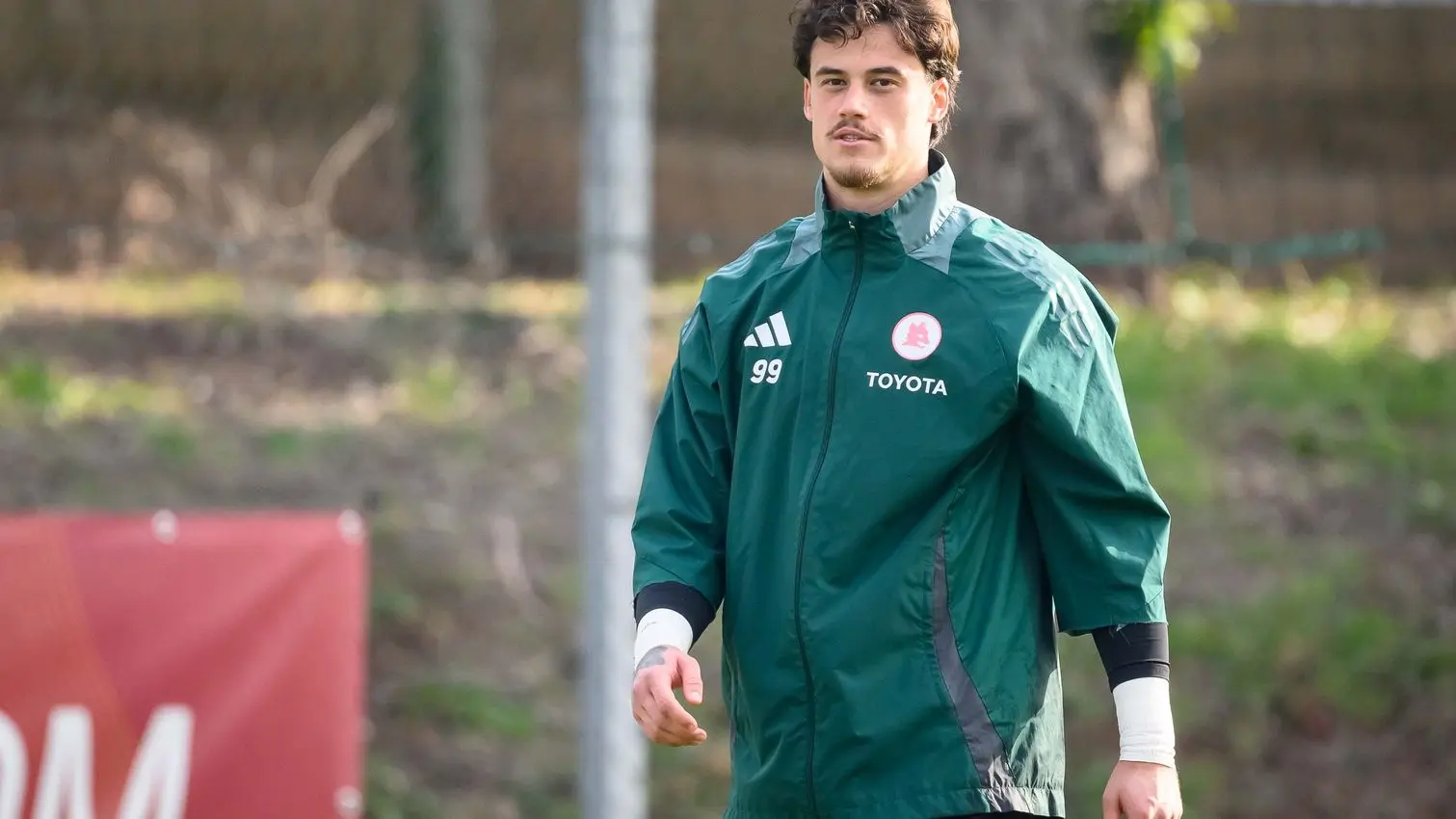 svilar trigoria