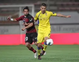 tachtsidis