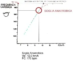 test20di20conconi1