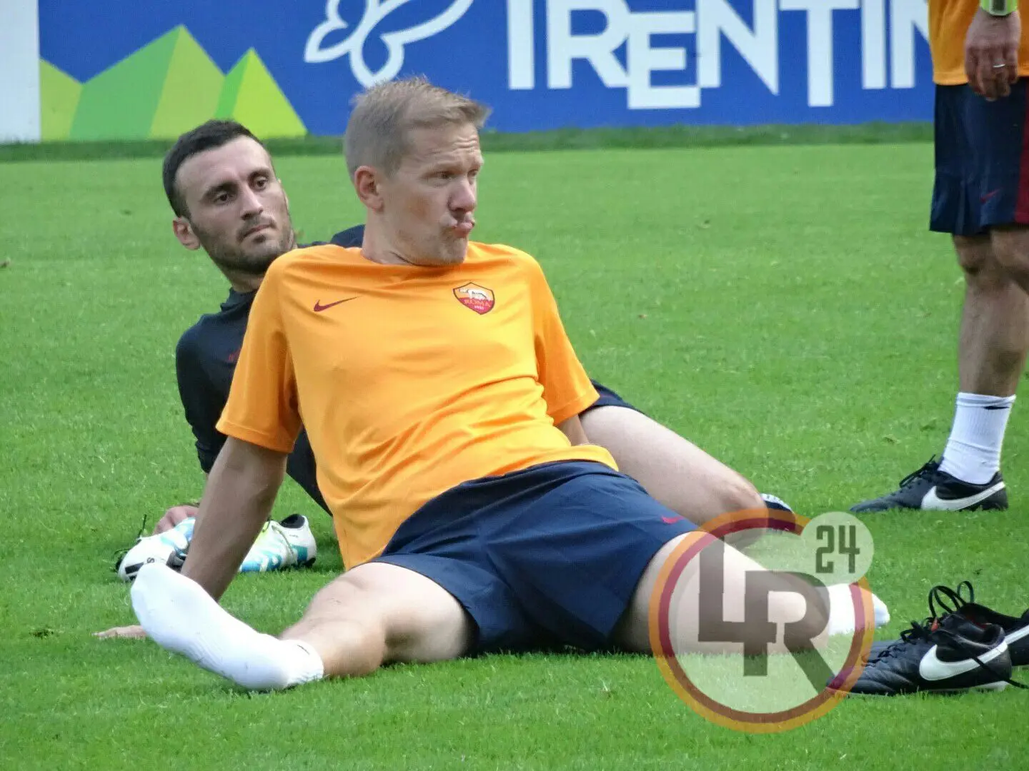 torosidis norman lr24