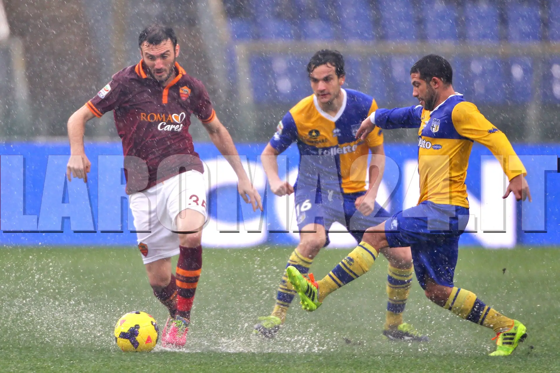 torosidis sotto la pioggia parma
