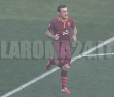 torosidis tutta figura