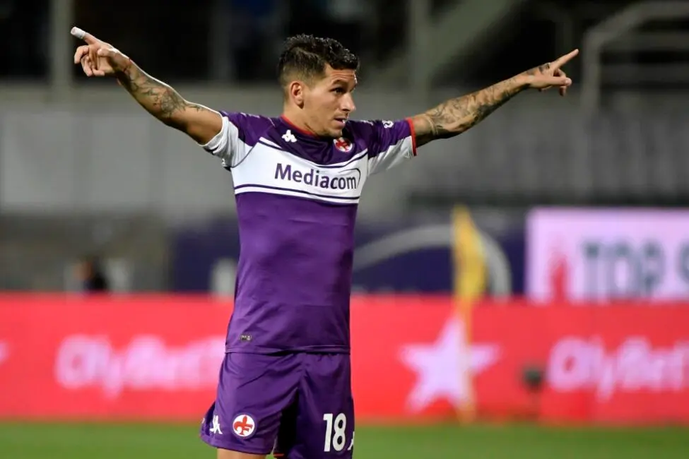 torreira