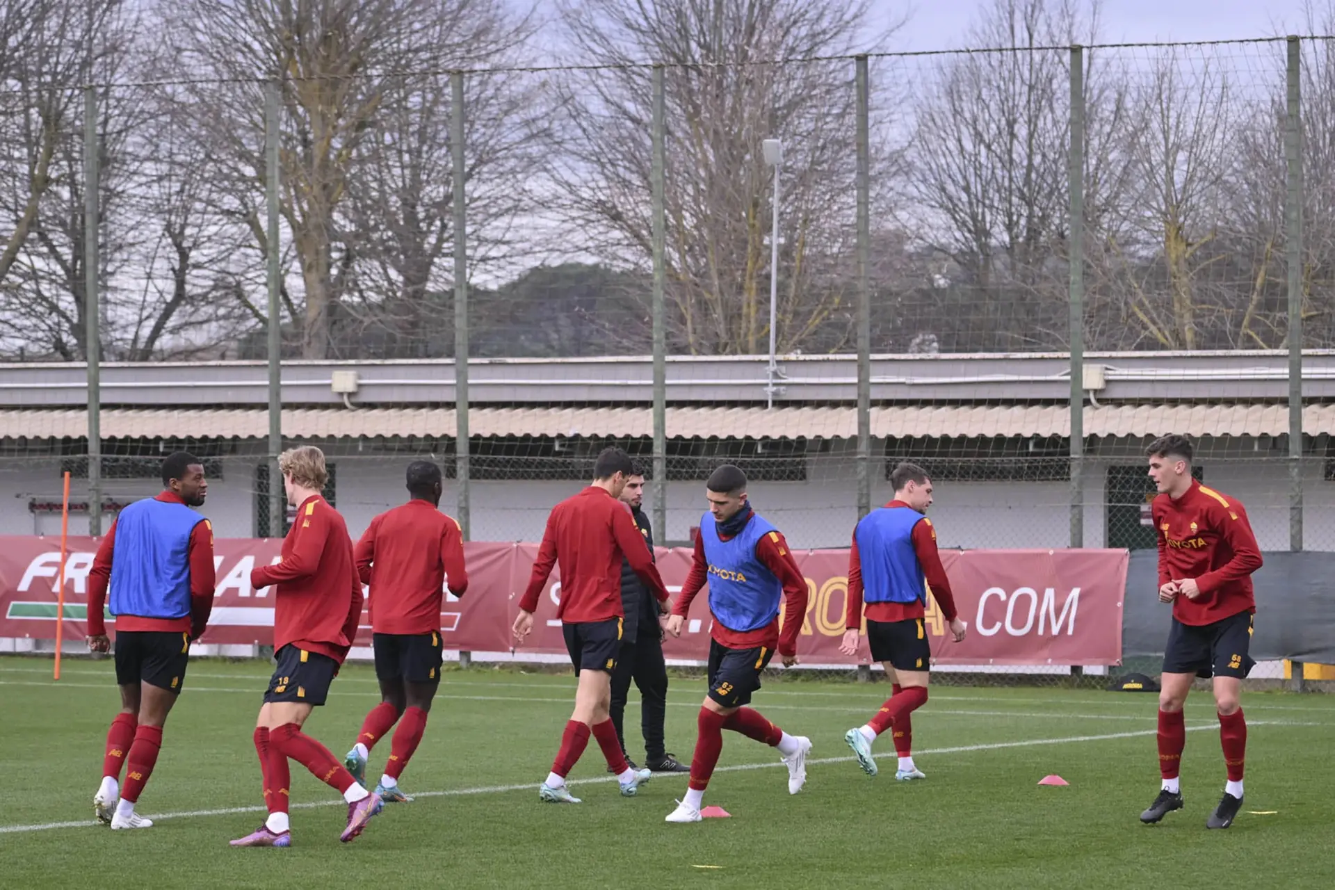 trigoria