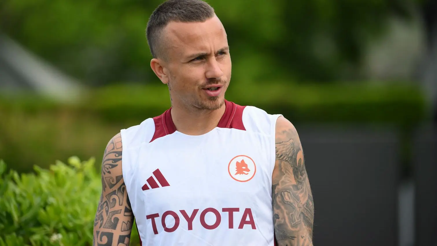 trigoria angelino 1
